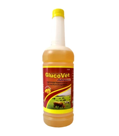GlucoVet