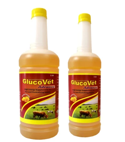 GlucoVet