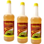 GlucoVet