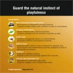 MEGAFLEX Powder – Advanced Hip & Joint Care Supplement for Dogs & Cats | Natural Mobility Support | Elanco - Image 6