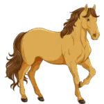 Equine