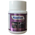Hoofvet