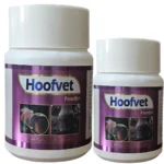 Hoofvet