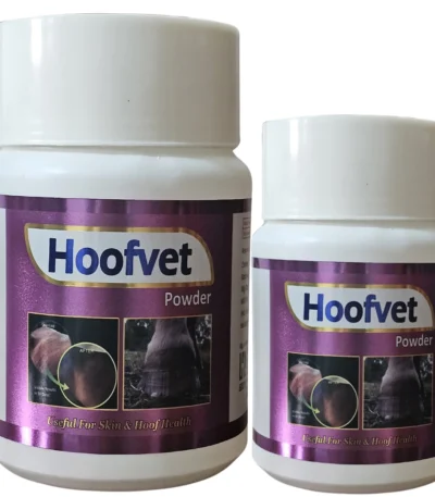 Hoofvet