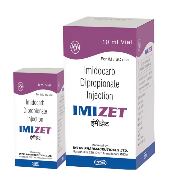 IMIZET