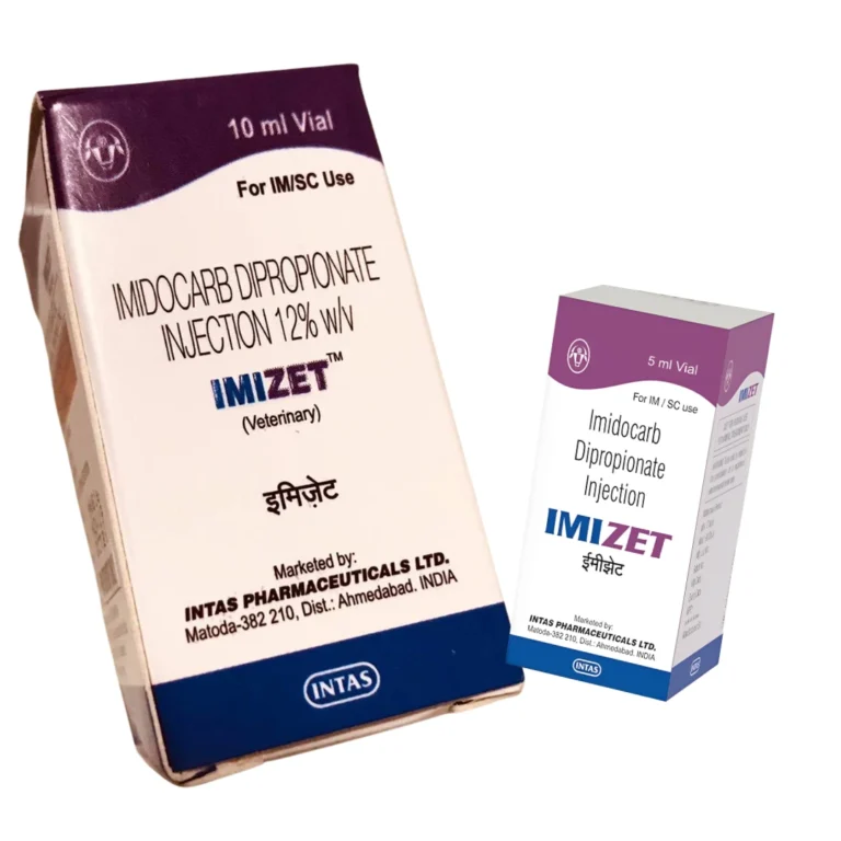 IMIZET
