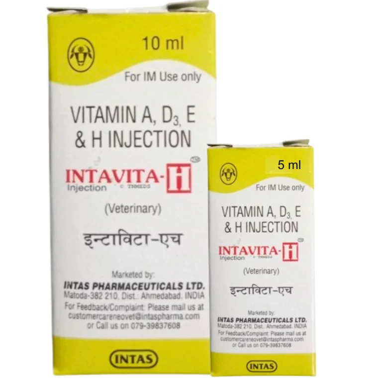 INTAVITA-H