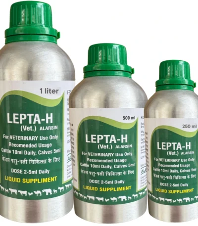 LEPTA-H