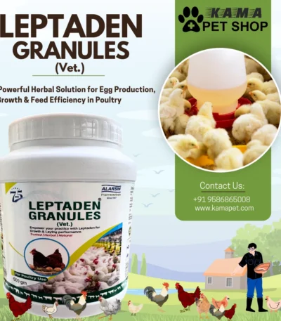 LEPTADEN GRANULES