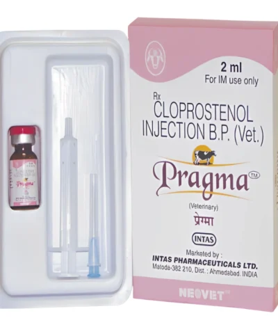 Pragma