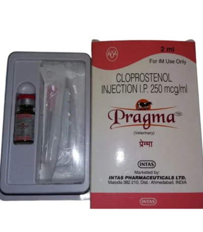 Pragma