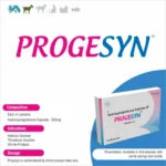 Progesyn