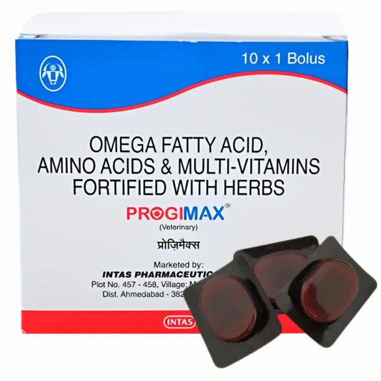 Progimax