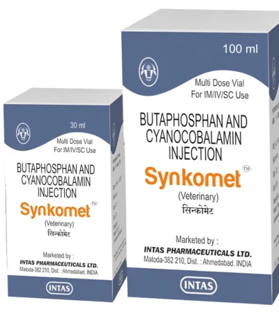 Synkomet