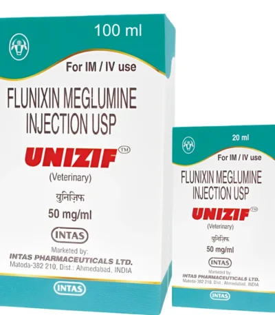 UNIZIF