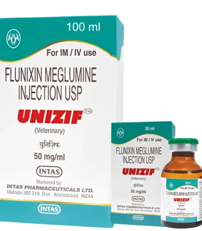 UNIZIF