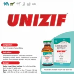UNIZIF