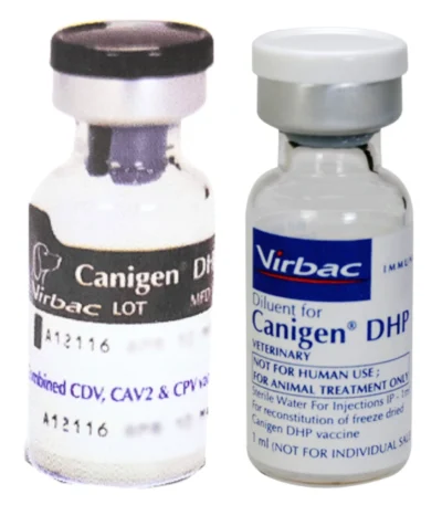 CANIGEN DHP