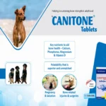 CANITONE