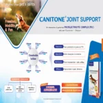 CANITONE Joint