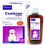 CANITONE Junior