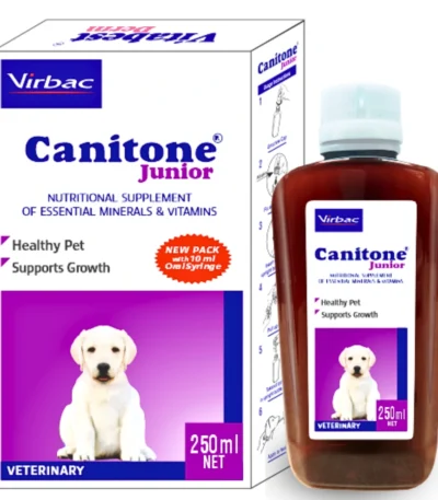 CANITONE Junior