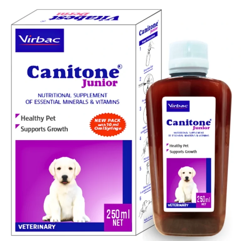 CANITONE Junior