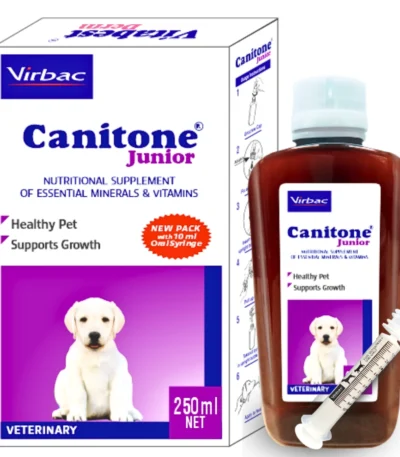 CANITONE Junior
