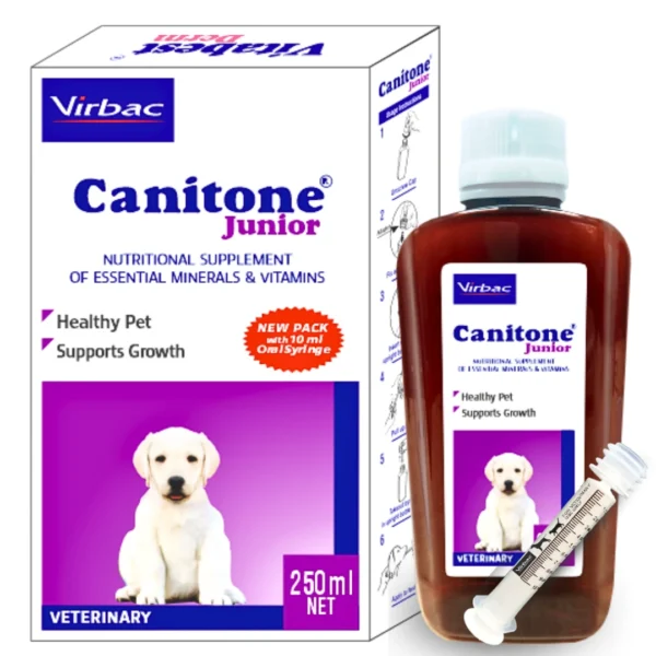 CANITONE Junior