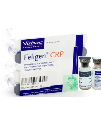 FELIGEN