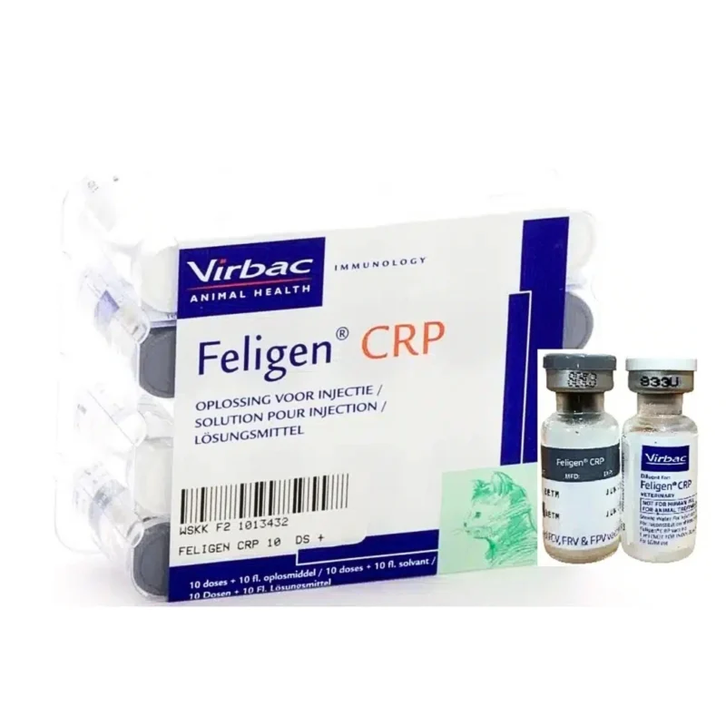 FELIGEN