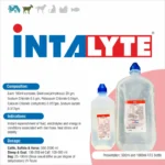 INTALYTE