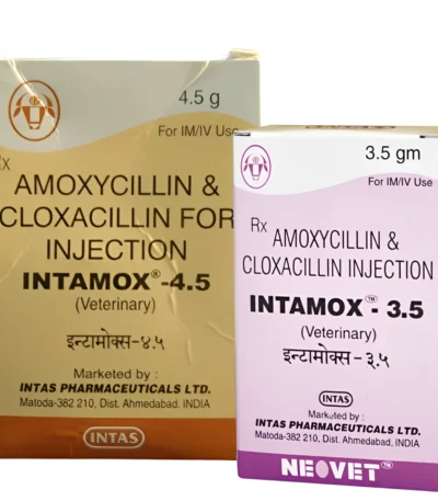 Intamox