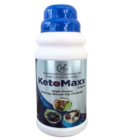 KetoMaxx