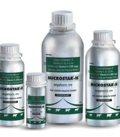 MICROSTAR-H