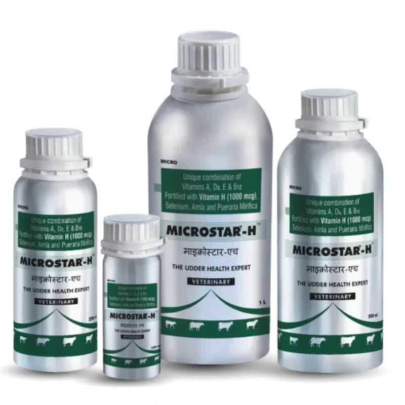 MICROSTAR-H