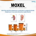 MOXEL