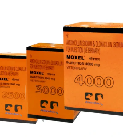 MOXEL