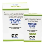 MOXEL FORTE