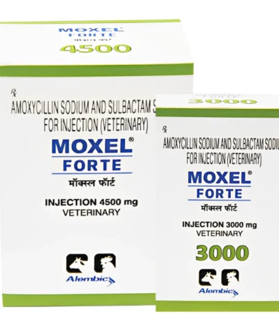MOXEL FORTE