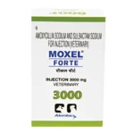 MOXEL FORTE