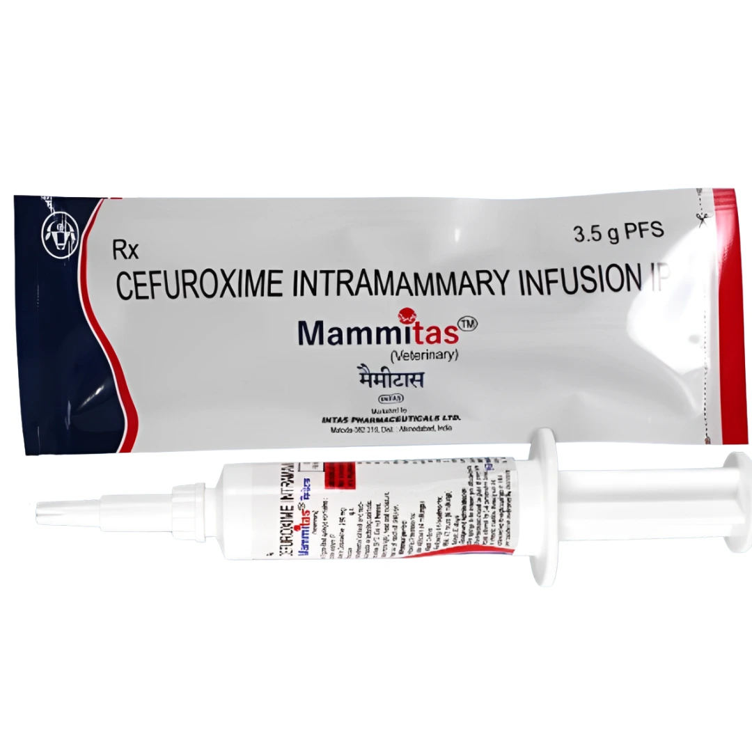 Mammitas