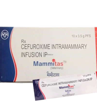 Mammitas