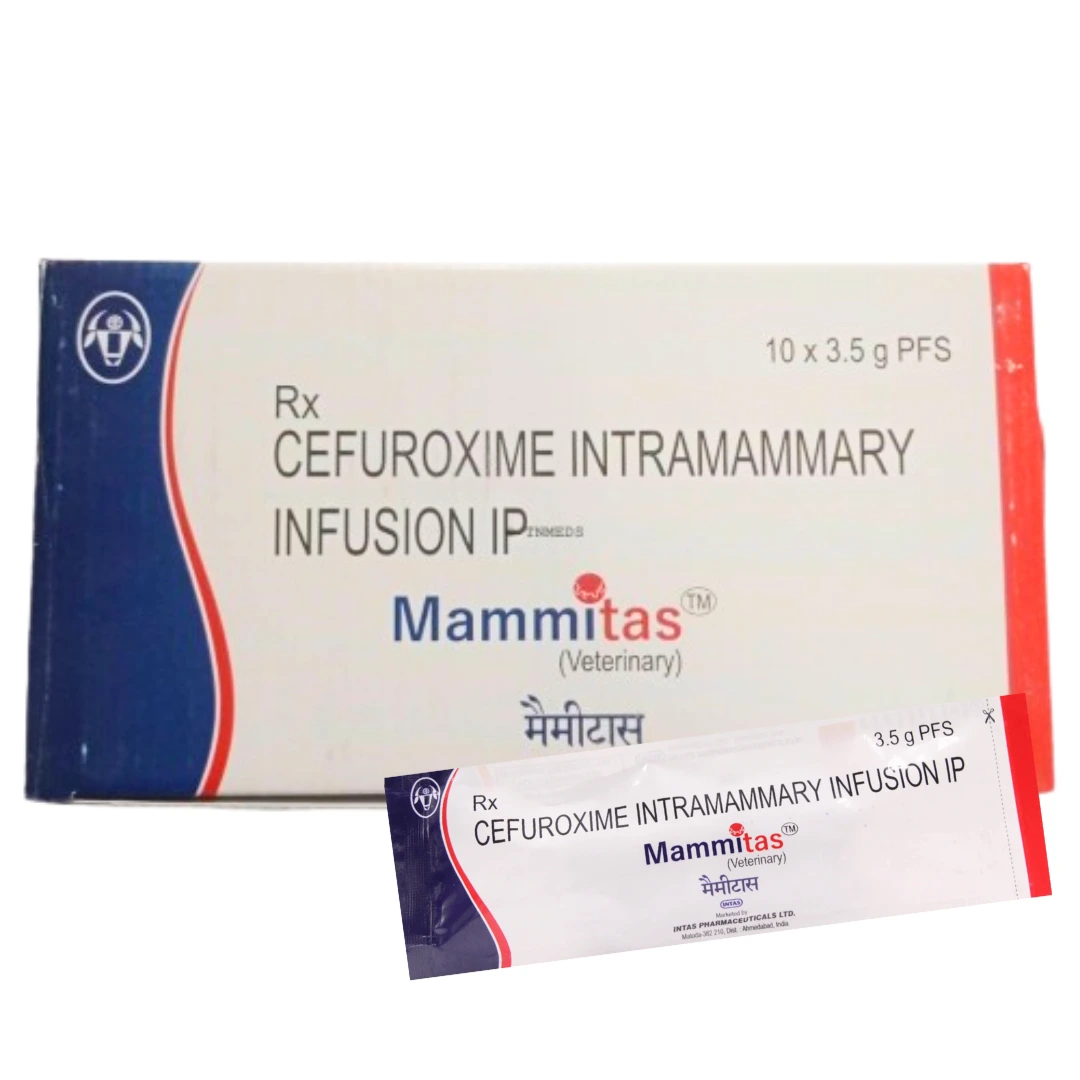Mammitas