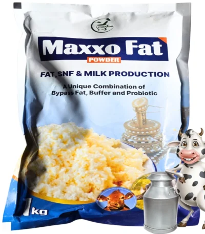 Maxxo Fat