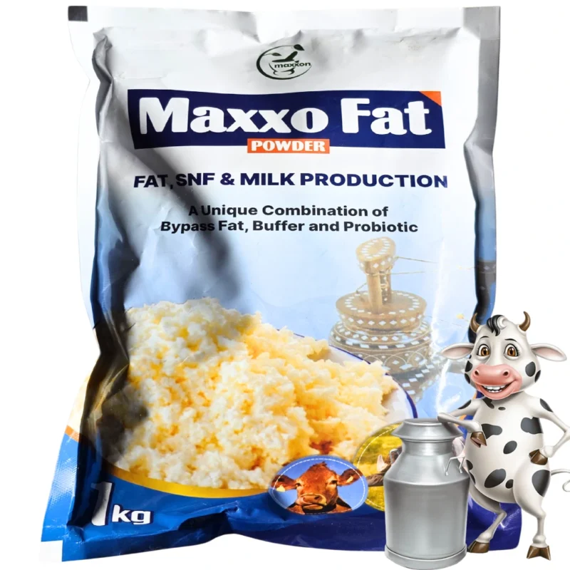 Maxxo Fat