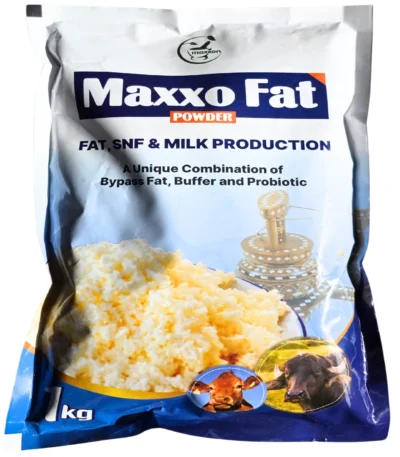 Maxxo Fat