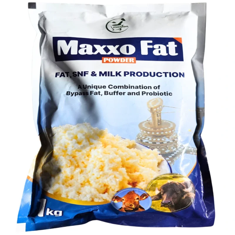 Maxxo Fat