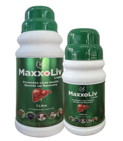 Maxxoliv