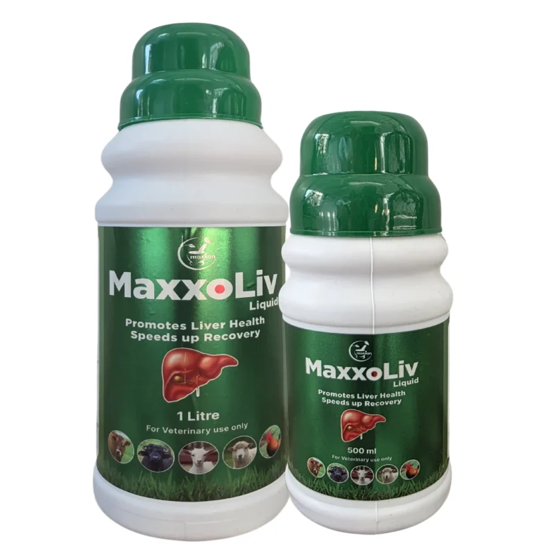 Maxxoliv